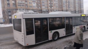 Поездка на автобусе МАЗ-203.047 № М 791 СВ 13, маршрут 17