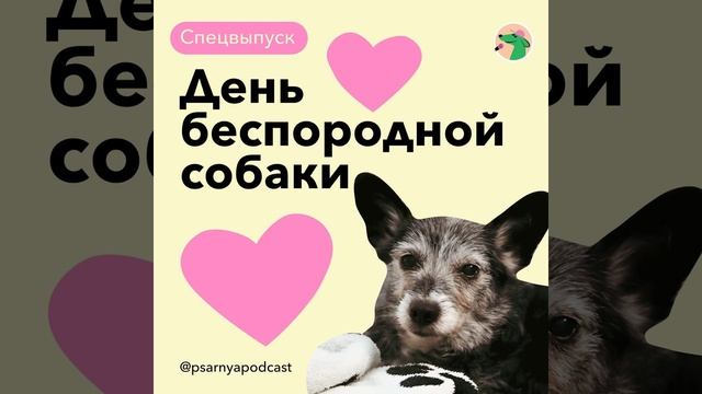 Спецвыпуск: День беспородной собаки