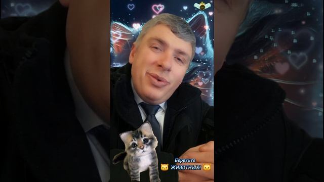 Некому гладить за ушком.