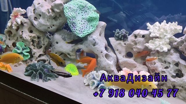Псевдоморе АкваДизайн