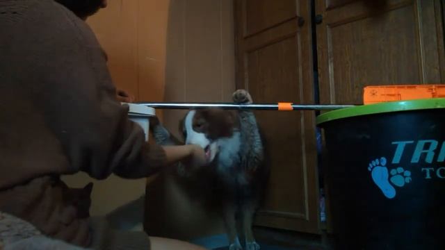 Обучение. Команда "прячься" смотреть онлайн