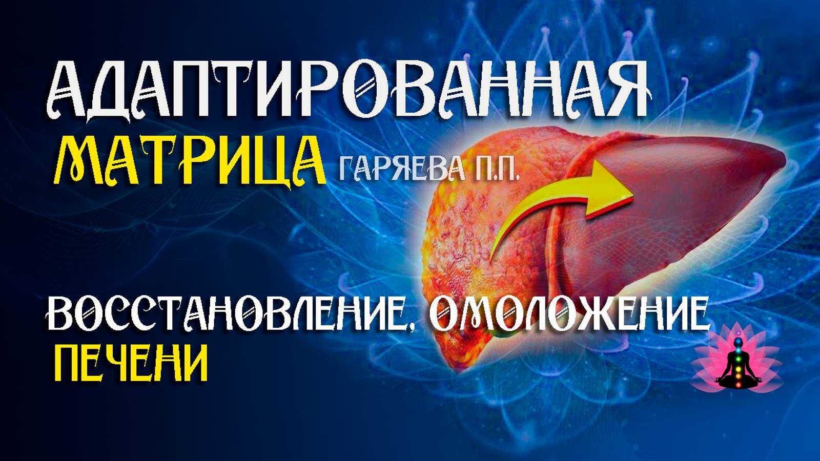 Мощное омоложение печени  🌀 Адаптированная матрица Гаряева ☀️ SoftRadio.ru