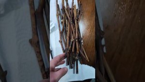 Хранение черенков винограда зимой в домашних условиях