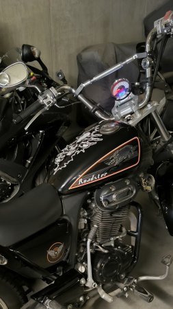 Harley с АлиЭкспресс , как он зимует