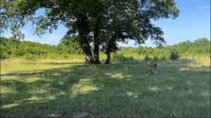 борька гонки 1 часть