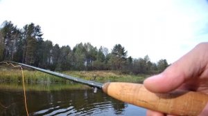 Нахлыстовая осень На Мологе Часть 9