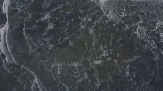 Полет у соснового бора