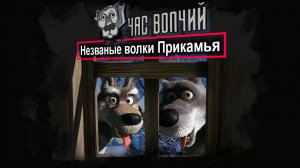 В Пермском крае участились случаи появления волков