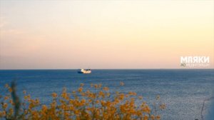 медитация МИР ЛЮБЯЩЕЙ ДОБРОТЫ. почувствуй СИЛУ любви и добра.