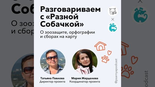 Разговариваем с «Разной Собачкой» о зоозащите, орфографии и сборах на карту