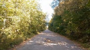 Осень жизни...