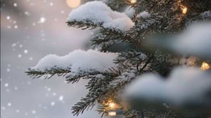 Тепло двух сердец - Истории, которые трогают сердце