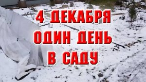 4 декабря. Один день в саду
