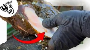 TINY DROPLETS crest a HUGE PROBLEM!