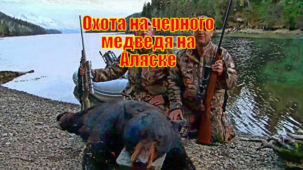 Охота на черного медведя на Аляске