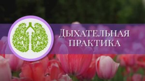 Активная дыхательная практика для прогулок (4 вдох + 5 выдох)