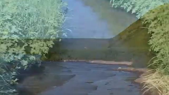 Командоры