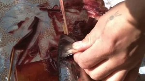 Потрошение рыбы быстро и удобно.