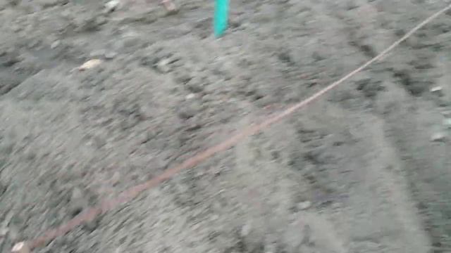 Виноград. К зиме готовы... смотреть онлайн