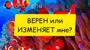 Верен мне или изменяет?