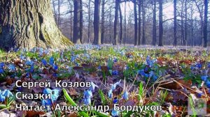 Сказки С.Козлова. Ку-ку