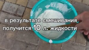 Обработка персика Бордоской жидкостью.