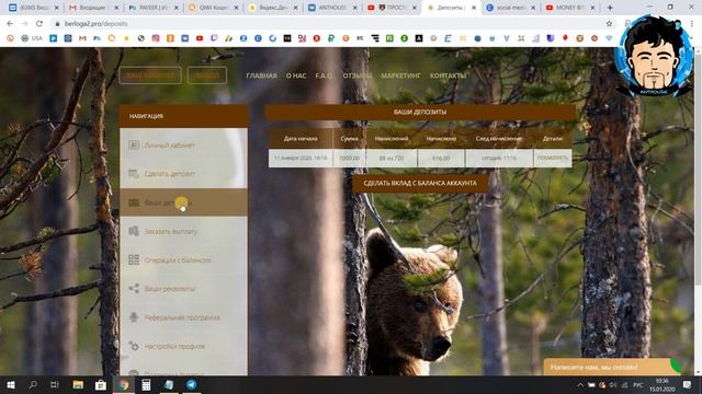 🐻 КАК НОВИЧКУ ЗАРАБОТАТЬ в ИНТЕРНЕТЕ С НУЛЯ