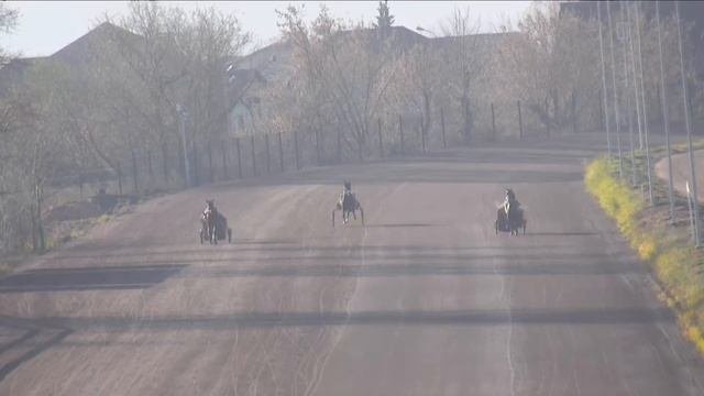 09.11.2024: Прямая трансляция из Раменского.