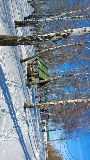 прага утро. Настоящее Время. отдых в парке.