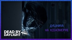 СОБАЧКА НЫНЧЕ БУЙСТВУЕТ В ДБД | DBD | EVILLANG | 1440р