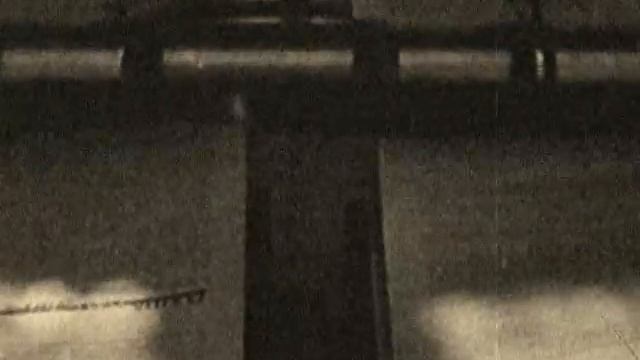 Deja Vu - Про зайцев смотреть онлайн