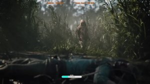 Hunt Showdown