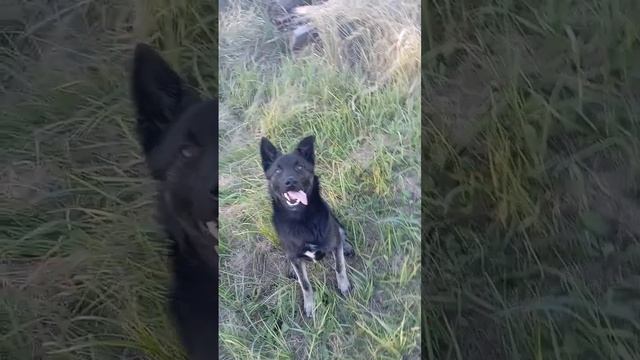 выдержка смотреть онлайн