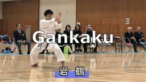 Ката JKA Ганкаку- Курихара Хидемото