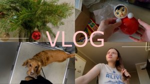 VLOG | Планы на 2025 год | Распаковка детских игрушек |