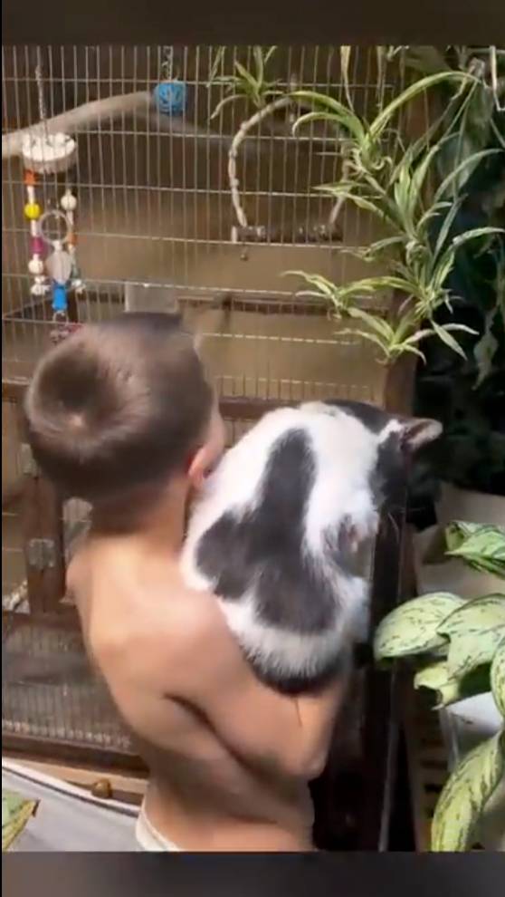 Смех до слез №128 - Лучшие Приколы 2024 #Прикол #Приколы #Юмор #Мемы #Мем #Смешное #Смех #Ржака смотреть онлайн