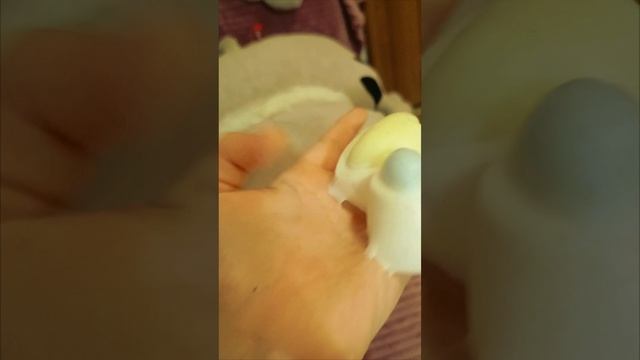 моя любимая и новая лапка