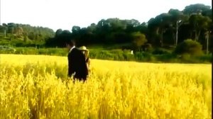 Алжирские песни наследие алжирского massi.flv