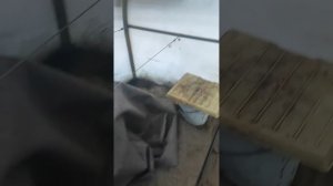 Укрываем виноград на зиму