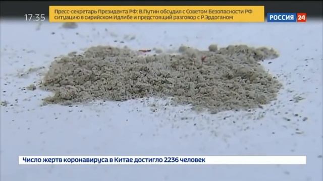 ОНА ВАМ НЕ ГЕНСУХАРАЗОБЛАЧЕНИЕ GENSYXA