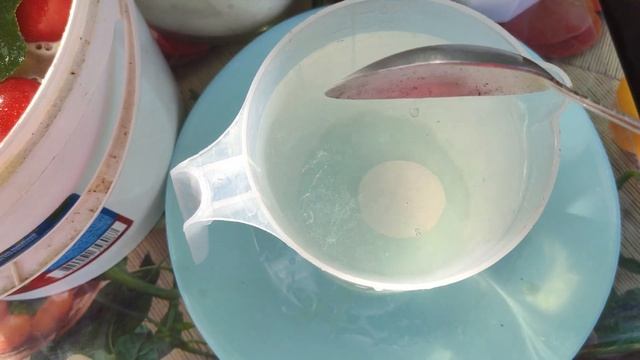СУПЕР вкусные ПРЯНЫЕ ГАЗИРОВАННЫЕ ПОМИДОРЫ с горчицей ! Идеальный рецепт !