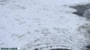 ОЧЕНЬ МОЩНЫЙ ШТОРМ В СОЧИ! ВЫСОКИЕ ВОЛНЫ РАЗБИВАЮТСЯ О БЕРЕГ. 13 Ноября 2023 года!