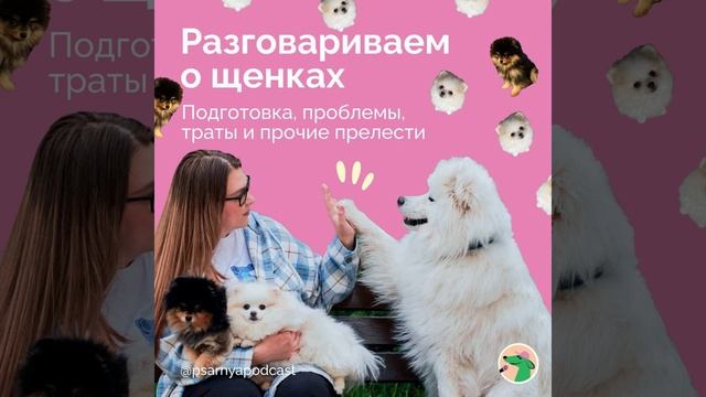 Разговариваем о щенках. Подготовка, проблемы, траты и прочие прелести