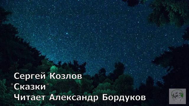 Сказки С.Козлова. Птица
