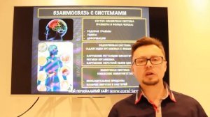 Нервная система-1