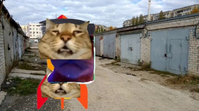 Месть котов 1 сезон 7 серия