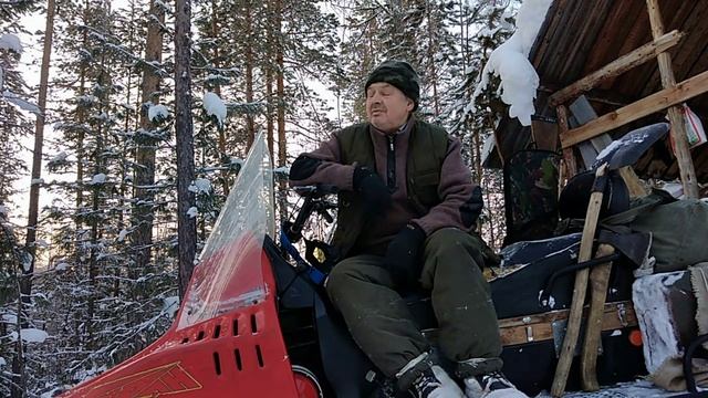 Из тайги о ЛЮБВИ смотреть онлайн