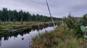 Открытие по перу 10е августа 2024