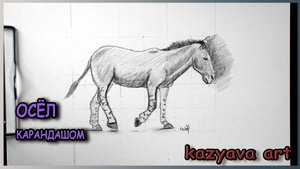 Как нарисовать ОСЛА карандашом. Поэтапный Мастер-класс