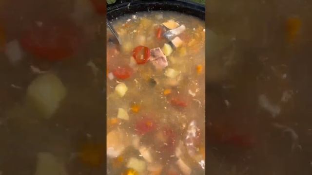 Уха из форели и лосося #алтай #еда #шашлык #рецепт #юмор #вкусно #рецепты #music #food #венгалби